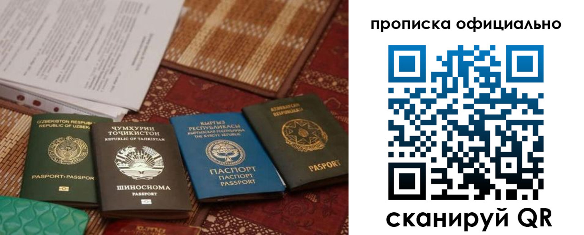 где прописаться в Малой Вишере